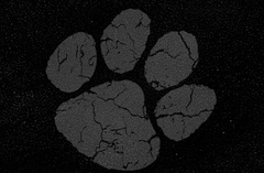 You Need Me, I Don't Need You