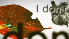 VOCALOID家族 - Accel.