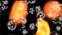 初音未来 - 出租家庭