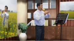 月光下的凤尾竹 葫芦丝独奏