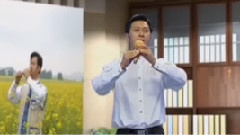 竹林深处 葫芦丝独奏