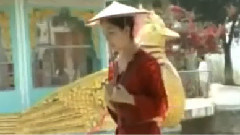 月光下的凤尾竹 葫芦丝独奏