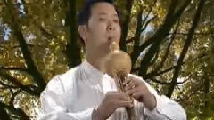 红河谷 葫芦丝独奏