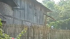 有一个美丽的地方 葫芦丝独奏