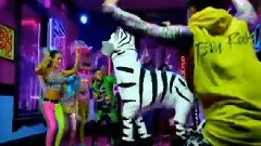 Sorry For Party Rocking