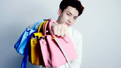 XOXO MCM,Happy Valentine's Day With EXO