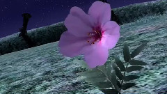 初音未来 - ハジメテノオト