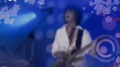 雨樱花 MTV版