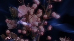 Giovanni Marradi,轻音乐 - For You