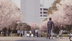 光と君へのレクイエム