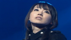 Brave Phoenix & Super Generation