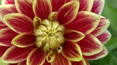 夜的钢琴曲二十