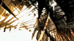 All That Makes Us Human Continues