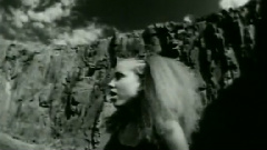 Concerto Of The Desperado