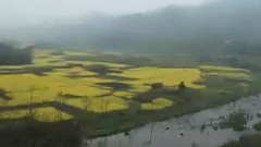 谁不说咱家乡好