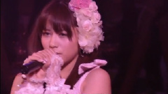 おしべとめしべと夜の蝶々