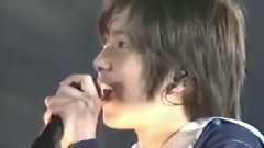 ネコネコロケット