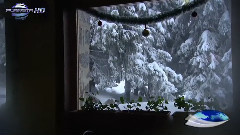 За старата любов