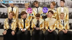 SectionTV 演艺通信