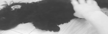 泰妍instagram with金泽2 13/08/08