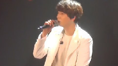 我的思绪 你的记忆