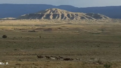 Watch Over My Dreams