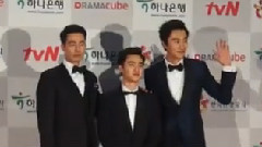 大田电视剧节 红地毯 赵寅成 李光洙 D.O. 新闻报道