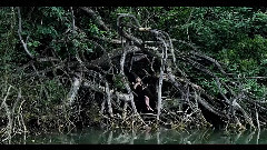 Donatan,CLEO - Sztorm