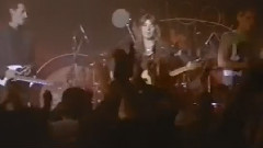 Bob Dylan,Fiona Flanagan - Hair Of The Dog