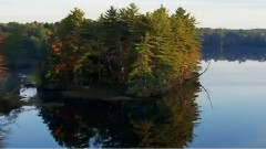 Bernward Koch,音乐短片 - Wonderful Glider