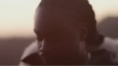 Wale - The Followers