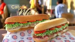 Bleachers - Don't Come Around Here No More(Cover)