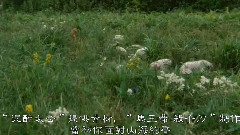 共你痴痴爱在(友情版)