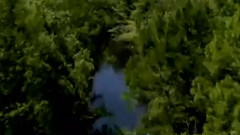 Le Sentier De La Source