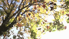 Beni Hala Ölduruyorsun