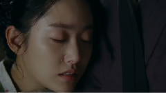 蝶儿蝶儿满天飞