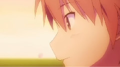 又是樱花如雪飘零时