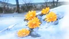 望着我们的感情消散在虹之间