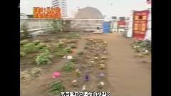 一个屋顶上 20