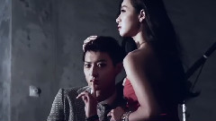 Swarovski SM All Color