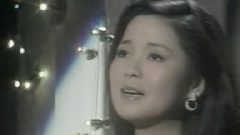 邓丽君 - Rhythm Of The Rain