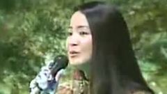 邓丽君 - 時の流れに身をまかせ