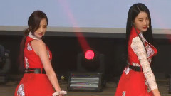 回归Showcase STAR新闻频