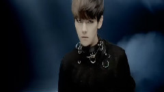 Animals 灿白 预告