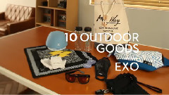 The Celebrity GO Out With EXO