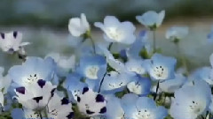 Quelques Notes Pour Anna