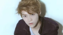 Paradise & Forever Love