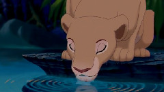 Can You Feel The Love Tonight