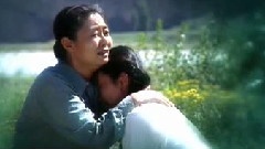 为什么我泪水成行