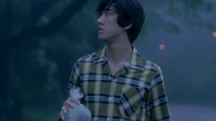 Pussy Willows Cat Tails